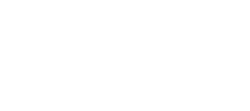 Ritzy Logo Weiss